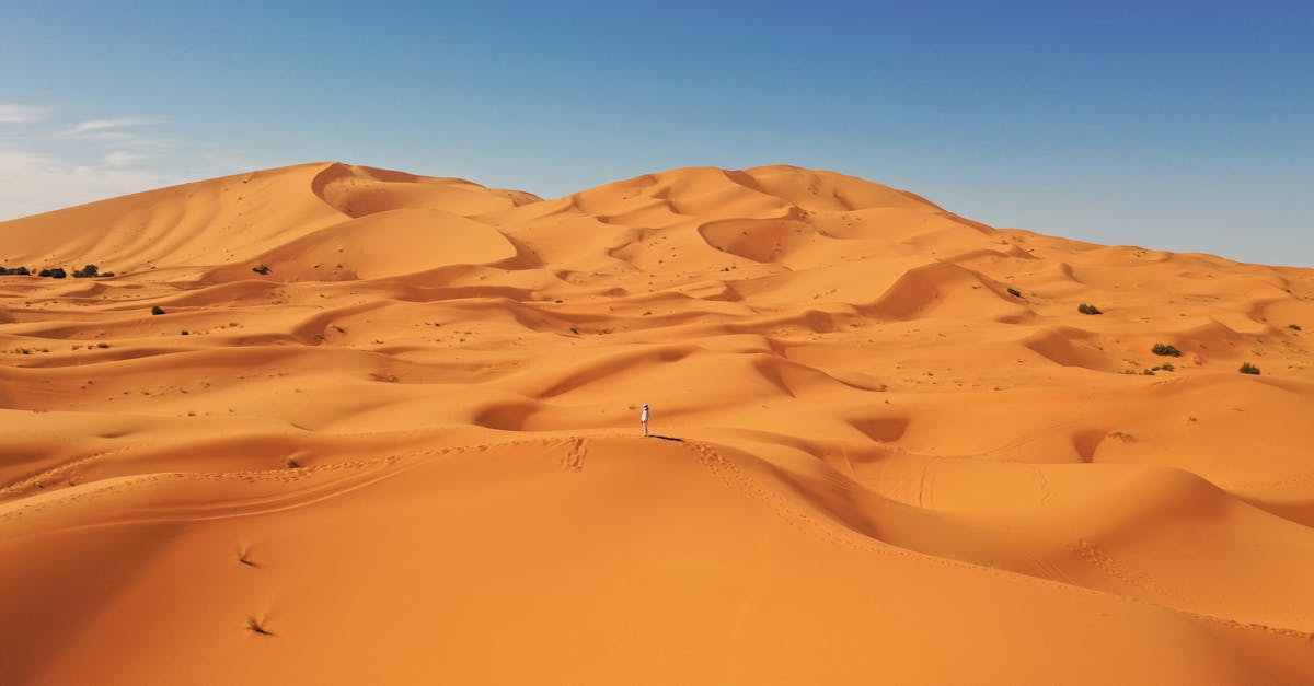 partez à l'aventure dans le désert et découvrez des paysages majestueux, des dunes infinies et une expérience inoubliable pleine de sensations fortes.