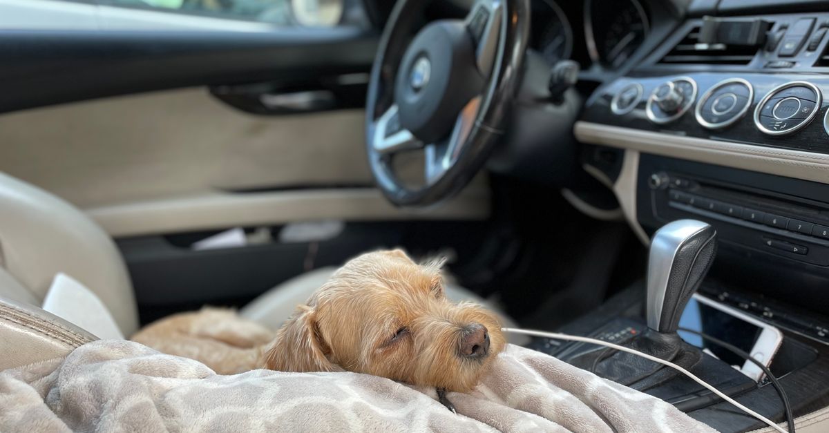 découvrez les conseils et astuces pour dormir dans votre voiture en france en toute sécurité et confort, que ce soit pour un road trip, une pause ou un hébergement improvisé.